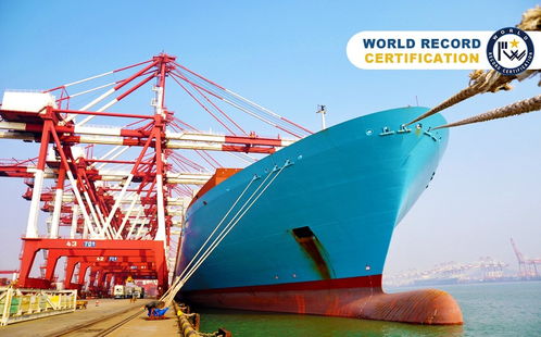 世界上最大的航运公司获世界纪录认证 wrca