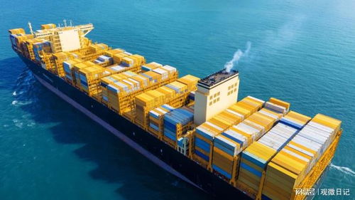 广州到布里斯班海运优选指南 广州东际专线直达，专业物流团队护航