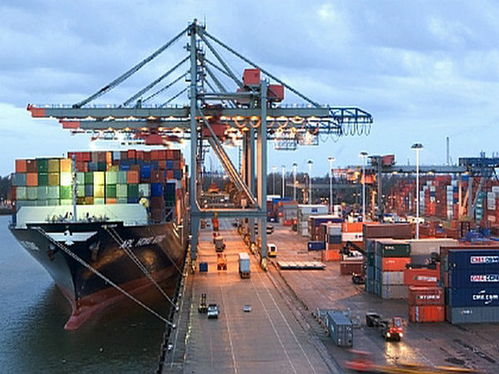 广州出口泰国整柜海运服务 选择性价比出众的物流伙伴