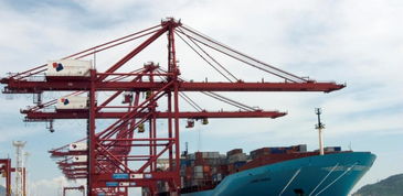 青岛至新普利茅斯海运运费运价全解析 | 晴川供应专业海运物流服务