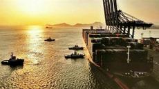 专业可靠，通达全球——探秘佛山i禹航物流的海运实力与服务优势