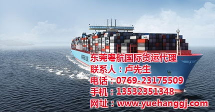 深圳空运与东莞粤航海运物流 高效跨境运输的两大支柱